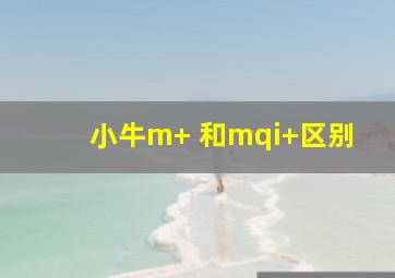 小牛m+ 和mqi+区别